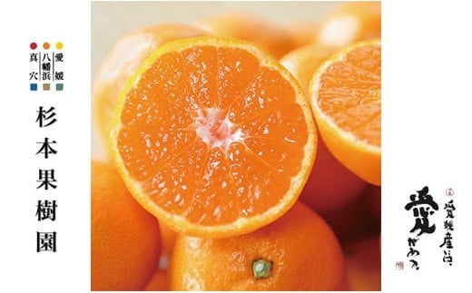 杉本果樹園の清見タンゴール 5kg<C34-13>【1491925】愛媛県八幡浜市13000果物・フルーツみかん・柑橘類