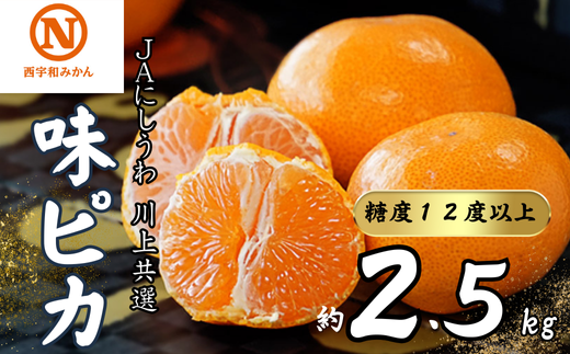 JAにしうわの季節の柑橘(川上共選 味ピカ2.5kg)<C08-78>【1510453】愛媛県八幡浜市13000果物・フルーツみかん・柑橘類