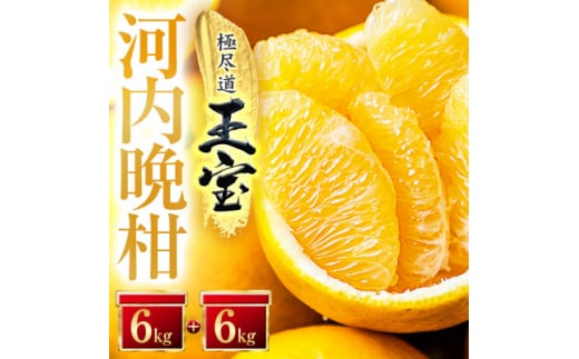 QYʕ͓ӊ@12kgF64-54y1511222zQls25000ʕEt[c݂Ek