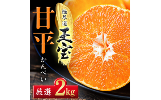 uʕuhvÕ2kgD64-43_ ݂ ~J k Õ JyC ؂ t[c  ʕ ӂ[  ʎ Â W[V[ Y Yn { k lC Q ʏ` y1