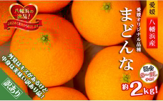 2025年11月より発送開始 ぷるぷる食感!!「まどんな」約2キロ<訳あり・家庭用><C39-58>【1512437】愛媛県八幡浜市10000果物・フルーツみかん・柑橘類
