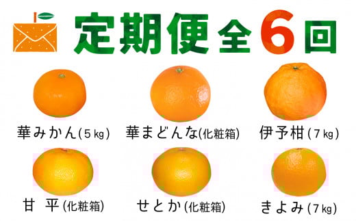<発送月固定定期便>コウ果樹園の旬の柑橘定期便(11月-4月)<H33-40>全6回_ 定期便 みかん ミカン まどんな せとか 甘平 愛媛県 フルーツ 果物 くだもの 柑橘 かんきつ 人気 産地直送 産直 ジ