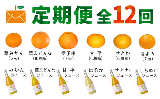 ŒցREʎ̏{̊k(11-10)H33-41S12_  ݂ ݂W[X ~J ܂ǂ Ƃ Q t[c ʕ  k 񂫂 lC Yn