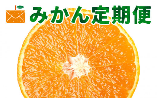 <発送月固定定期便>高級柑橘定期便<H33-42>全3回【4053141】愛媛県八幡浜市46000果物・フルーツみかん・柑橘類