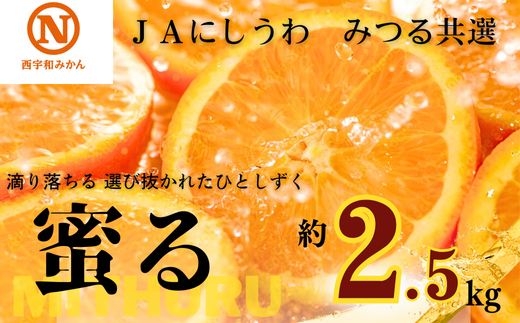 JAにしうわの季節の柑橘(みつる共選「蜜る」約2.5kg)<C08-74>【1447980】愛媛県八幡浜市11000果物・フルーツみかん・柑橘類