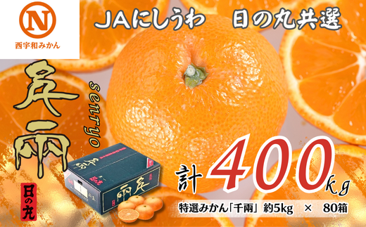 特選みかん「千兩」計400kg(約5kg×80箱)<H08-83>【1510462】愛媛県八幡浜市1334000果物・フルーツみかん・柑橘類