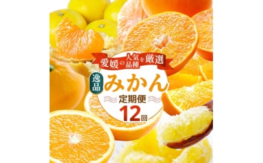 <発送月固定定期便>愛媛の人気品種を厳選!みかん定期便(秀品)<H25-166>全12回【4054625】愛媛県八幡浜市120000果物・フルーツみかん・柑橘類