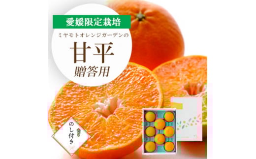 2026N2菇Q͔|k Õ(؂) p ̂tE25-169y1536582zQls20000ʕEt[c݂Ek