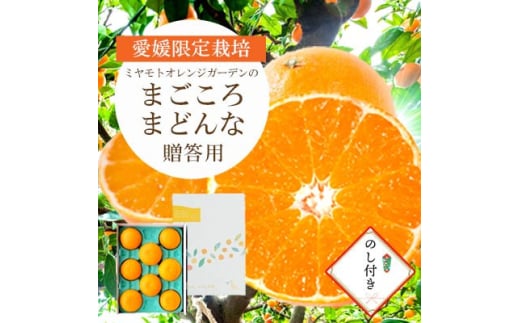 <2025年11月より順次発送>まどんな (愛媛果試28号) 贈答箱入り のし付き<D25-170>【1536523】愛媛県八幡浜市15000果物・フルーツみかん・柑橘類