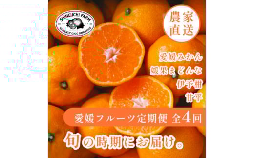 <発送月固定定期便>愛媛の美味しい柑橘 みかん・まどんな・伊予柑・甘平<H70-40>全4回【4055156】愛媛県八幡浜市54000果物・フルーツみかん・柑橘類