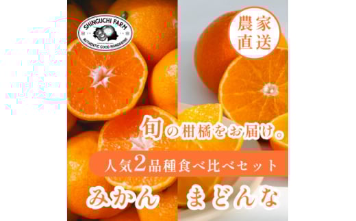2025年発送 愛媛みかん旬の食べ比べ みかん2kg・まどんな2kg<D70-36>【1536339】愛媛県八幡浜市18000果物・フルーツみかん・柑橘類