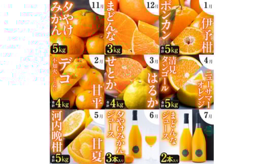 <発送月固定定期便>「こたつの上の冬物語」驚異の全14種類!!<H49-75>全9回【4056043】愛媛県八幡浜市135000果物・フルーツみかん・柑橘類