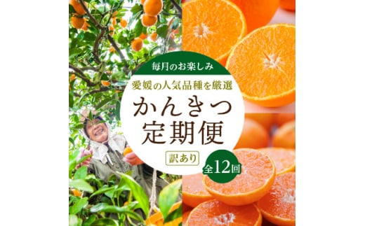 <発送月固定定期便>愛媛の人気品種を厳選!みかん定期便(訳あり)<H25-171>全12回【4056289】愛媛県八幡浜市120000果物・フルーツみかん・柑橘類