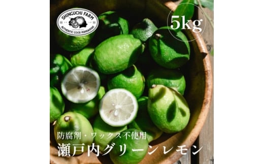 <皮ごと食べられる>瀬戸内グリーンレモン 5kg 防腐剤・ワックス不使用<D70-48>【1550660】愛媛県八幡浜市17000果物・フルーツみかん・柑橘類