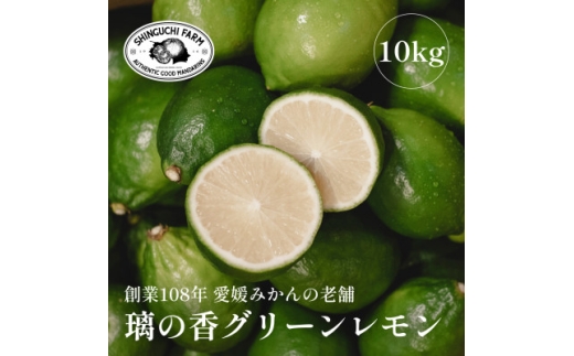 <皮が薄くて種がない>愛媛グリーンレモン 10kg 愛媛県産<H70-52>【1550685】愛媛県八幡浜市35000果物・フルーツみかん・柑橘類