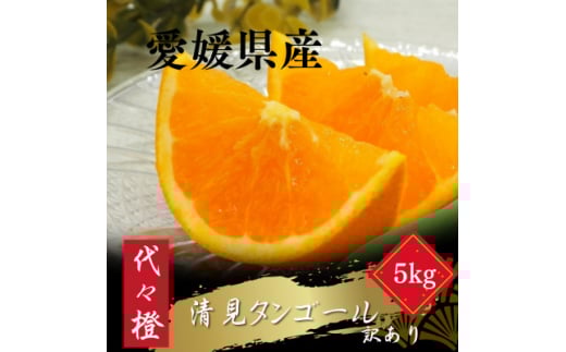 <トロッととろける果実><訳あり>清見タンゴール 5kg<C83-16>【1549106】愛媛県八幡浜市10000果物・フルーツみかん・柑橘類