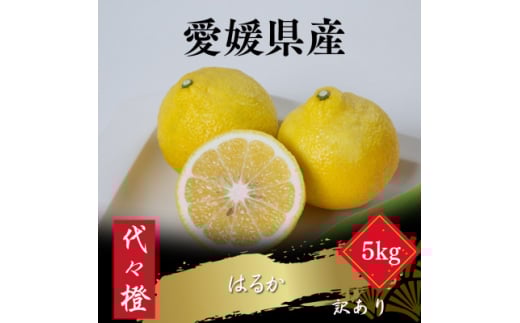 <爽やかな甘さ><訳あり>はるか 5kg<C83-19>【1549109】愛媛県八幡浜市13000果物・フルーツみかん・柑橘類