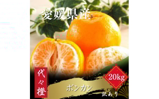 <濃厚な甘さ><訳あり>ポンカン 20kg<H83-25>【1557489】愛媛県八幡浜市40000果物・フルーツみかん・柑橘類