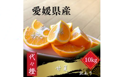 <ほろ苦くて甘酸っぱい><訳あり>甘夏 10kg<E83-28>【1557494】愛媛県八幡浜市20000果物・フルーツみかん・柑橘類