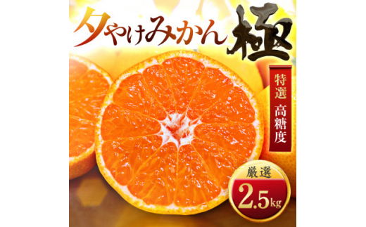 <太陽をたっぷり浴びた>夕やけみかん<極>2.5kg<A49-76>【1557599】愛媛県八幡浜市8000果物・フルーツみかん・柑橘類