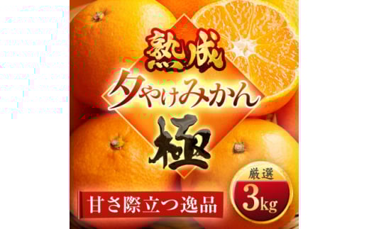 <完熟&熟成>愛媛で育った夕やけみかん<極>3kg ※年明け発送<C49-77>【1557679】愛媛県八幡浜市10000果物・フルーツみかん・柑橘類