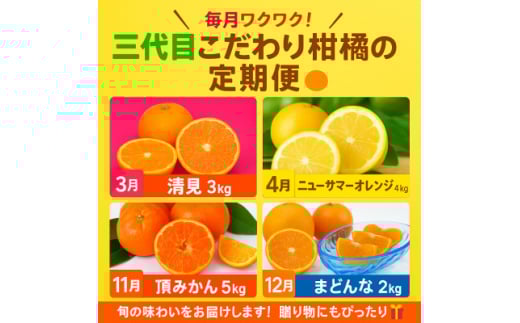 <発送月固定定期便>柑橘<みかん・まどんな・きよみ・ニューサマーオレンジ><H31-47>全4回【4058614】愛媛県八幡浜市43000果物・フルーツみかん・柑橘類