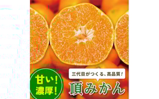 Oڂ݂́7.5kgE31-48y1573267zQls20000ʕEt[c݂Ek