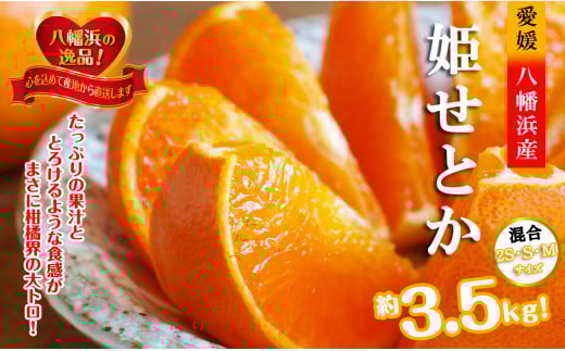 2026年2月発送開始 みずみずしい香り・柑橘の大トロ!「姫せとか」約3.5kg<D39-60>_ みかん ミカン 柑橘 せとか フルーツ くだもの 果物 ふるーつ 青果 果実 人気 甘い ジューシー 産直 産地直