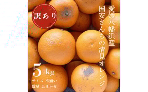 <まるで食べるジュース!越冬完熟品>愛媛産 訳あり 清見オレンジ 5kg<C20-33>【1594859】愛媛県八幡浜市13000果物・フルーツみかん・柑橘類