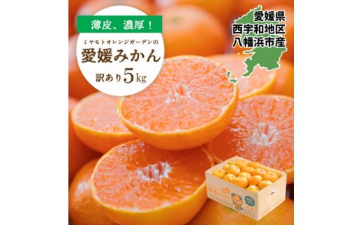 <2025年発送>何個でも食べられる!八幡浜産 愛媛みかん5kg<訳あり><C25-176>【1606088】愛媛県八幡浜市10000果物・フルーツみかん・柑橘類