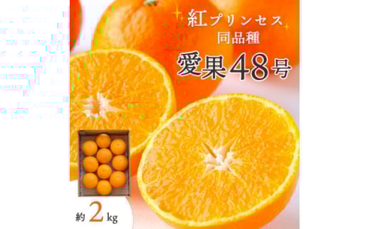 <2026年発送>甘平×まどんな「紅プリンセス」と同品種!愛媛果試48号 2kg<E25-181>【1607364】愛媛県八幡浜市20000果物・フルーツみかん・柑橘類