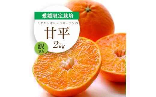 <2026年2月より順次発送>愛媛限定栽培柑橘 甘平(かんぺい)2kg<訳あり><D25-184>【1608049】愛媛県八幡浜市15000果物・フルーツみかん・柑橘類
