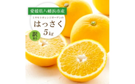 <2026年発送>ぷりぷり!酸味さわやか 八朔(はっさく) 5kg<訳あり><C25-188>【1609989】愛媛県八幡浜市10000果物・フルーツみかん・柑橘類