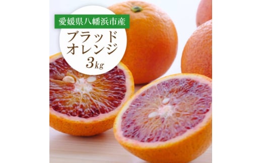 <2026年発送>愛媛県八幡浜市産 ブラッドオレンジ(タロッコ)3kg<C25-189>【1610009】愛媛県八幡浜市10000果物・フルーツみかん・柑橘類