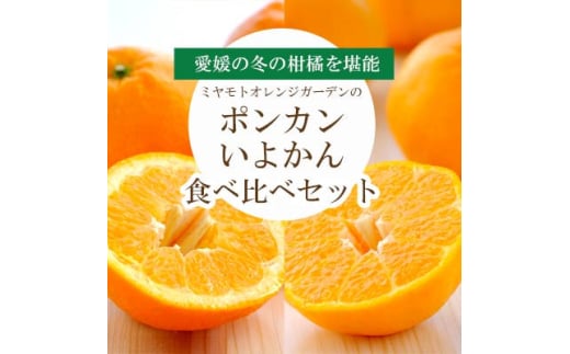 愛媛の新春柑橘を食べ比べ! ポンカン・いよかんセット便<訳あり><C25-194><複数個口で配送>【4066395】愛媛県八幡浜市10000果物・フルーツみかん・柑橘類