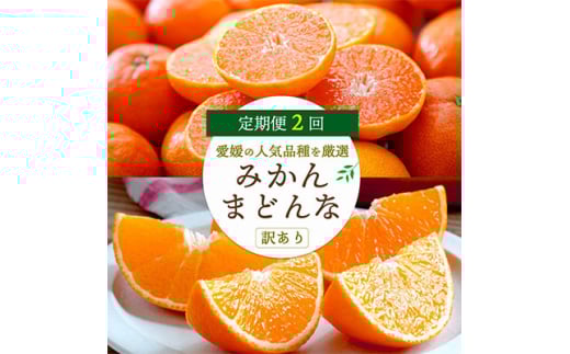 <発送月固定定期便>愛媛の人気2品種を堪能!みかんまどんな食べ比べ<訳あり><F25-200>全2回【4066439】愛媛県八幡浜市28000果物・フルーツみかん・柑橘類