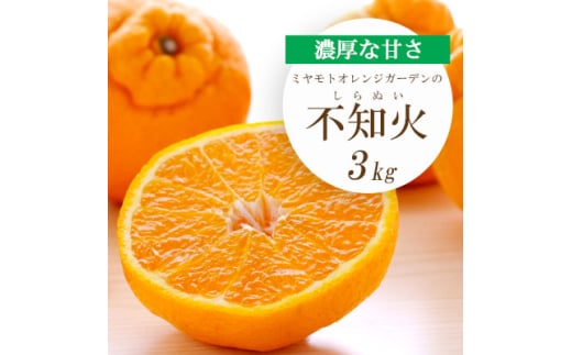 <2026年2月以降発送>デコポンと同品種 濃厚柑橘 不知火(しらぬい) 3kg<C25-203>【1612369】愛媛県八幡浜市10000果物・フルーツみかん・柑橘類