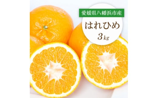 <2025年12月より順次発送>愛媛県八幡浜市産 はれひめ3kg<C25-206>【1612488】愛媛県八幡浜市10000果物・フルーツみかん・柑橘類