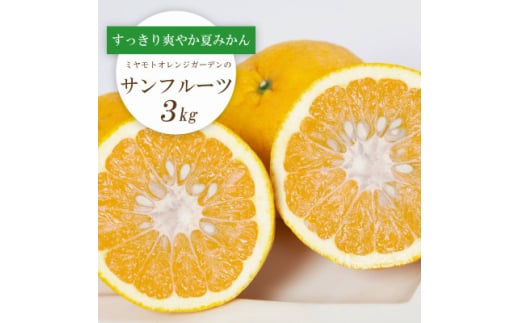 <2026年3月以降発送>さっぱりみずみずしい サンフルーツ(甘夏)3kg<C25-213>【1612610】愛媛県八幡浜市10000果物・フルーツみかん・柑橘類