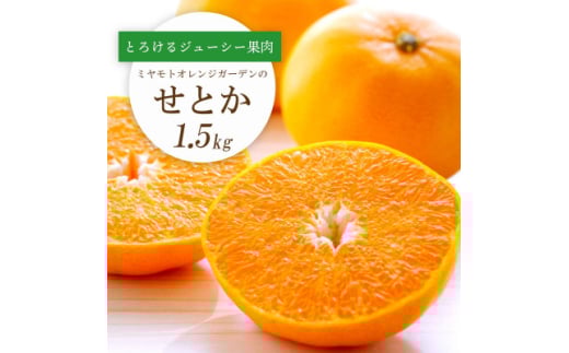 2026N2ȍ~Ƃ낯Zʓ Ƃ1.5kg QlYC25-210y1612641zQls10000ʕEt[c݂Ek