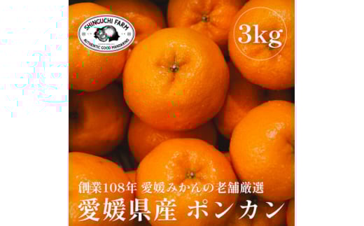 創業百八年 愛媛みかんの老舗<ポンカン 3kg>家庭用<新口農園><C70-64>【1614988】愛媛県八幡浜市10000果物・フルーツみかん・柑橘類