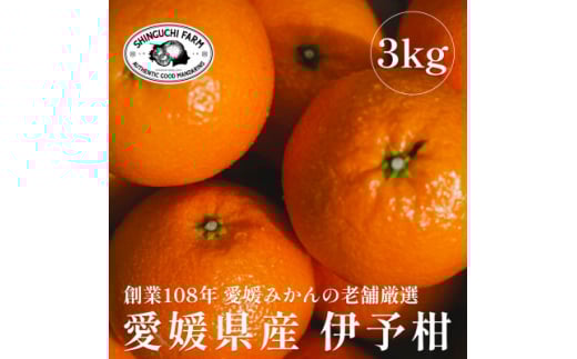 n108NQ݂̘V܁ɗ\ 3kgC70-72y1615841zQls10000ʕEt[c݂Ek