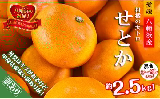 2026年2月〜順次発送 柑橘の大トロ!「せとか」約2.5キロ<訳あり品・家庭向け><C39-65>【1619102】愛媛県八幡浜市10000果物・フルーツみかん・柑橘類