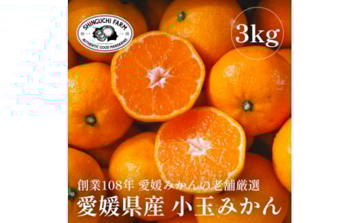 愛媛みかんの老舗厳選<小玉 みかん3kg><C70-73>【1620185】愛媛県八幡浜市10000果物・フルーツみかん・柑橘類