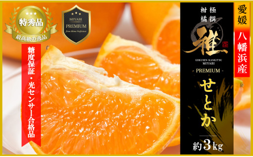 ɐkv~Axۏ؁EZT[iiu Ƃ v3LD39-69_ ݂ ~J k Ƃ t[c  ʕ ӂ[  ʎ lC Â W[V[ Y Y