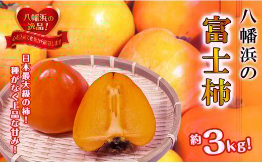 ÂɃjbR!{ő勉̊`uxm`v3LC39-72y1620371zQls10000ʕEt[c̑ ʕEt[c