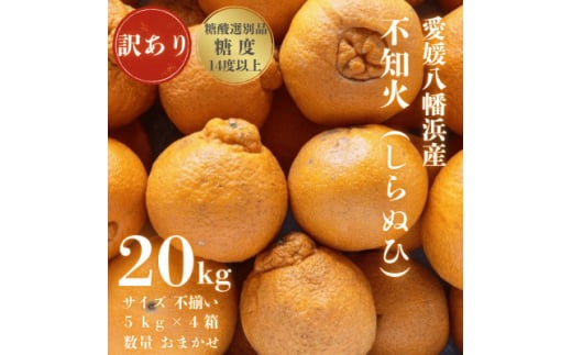 x14.0ȏ_1.4ȉ_Iʕi QY 󂠂sm(ʂ)20kgH20-62y1620231zQls44000ʕEt[c݂Ek