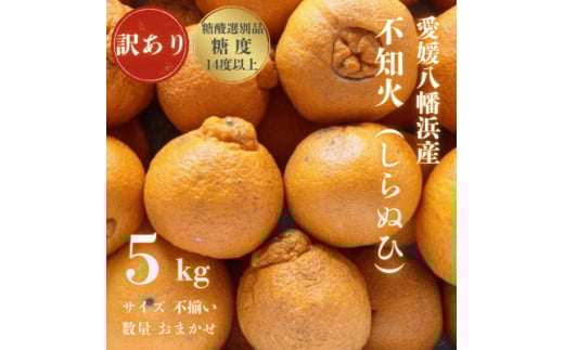 <糖度14.0以上酸1.4以下>糖酸選別品 愛媛産 訳あり 不知火(しらぬひ)5kg<C20-64>【1620236】愛媛県八幡浜市13000果物・フルーツみかん・柑橘類