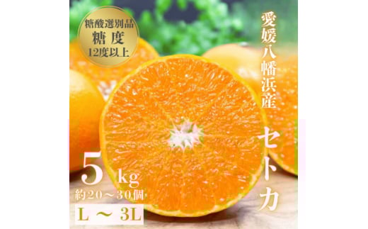 ݂̑gx12.0ȏ _1.4ȉ _Iʕi QZgJ 5kgG20-65y1620326zQls32000ʕEt[c݂Ek