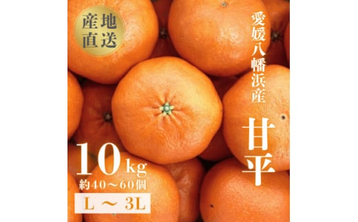 <愛媛が誇る 高級みかん 希少品種>甘平 (かんぺい) 10kg<H20-67>【1620337】愛媛県八幡浜市82000果物・フルーツみかん・柑橘類